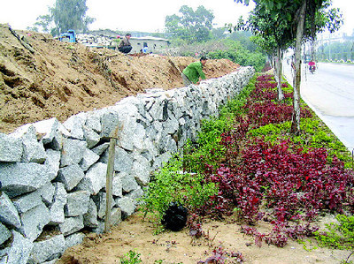 市政公共绿化用地岂能占用？——守护城市绿肺，拒绝违规工程