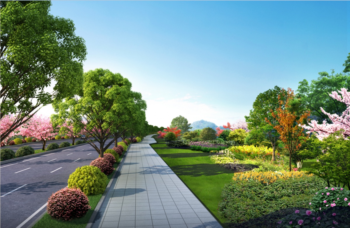 毕节市双山新区小瓦路道路工程（职教城段）绿化工程 构筑生态廊道，赋能职教新城