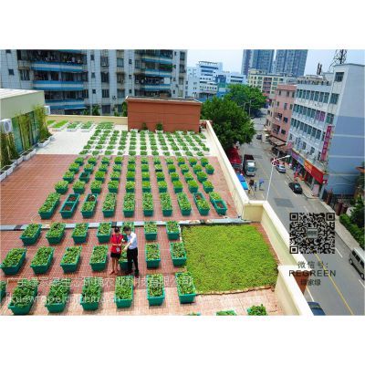 东莞绿家绿市政园林 景观绿化工程建设方案全解析